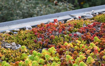 the cost of Witnesham green roof installation