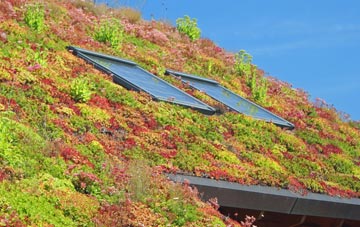 Witnesham living roof systems