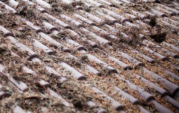 Witnesham roof cleaning companies