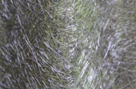 Witnesham fibreglass roof work